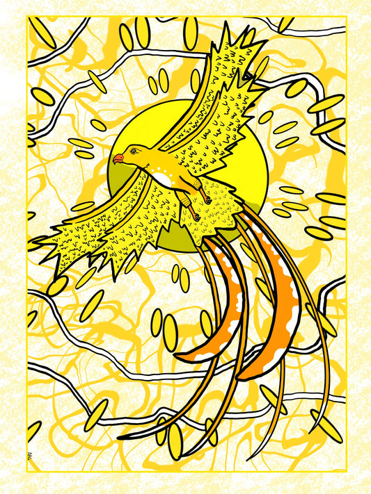 Solar