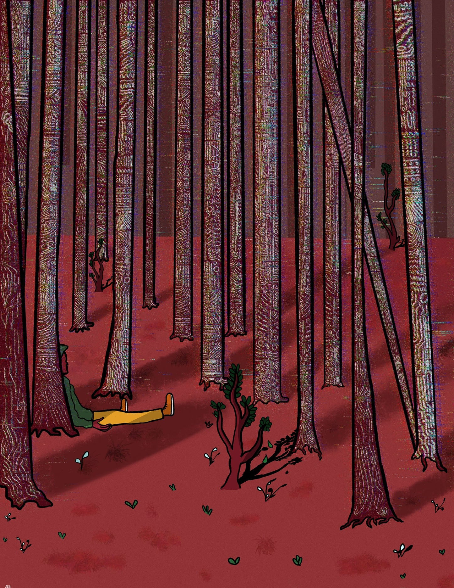 In the Woods