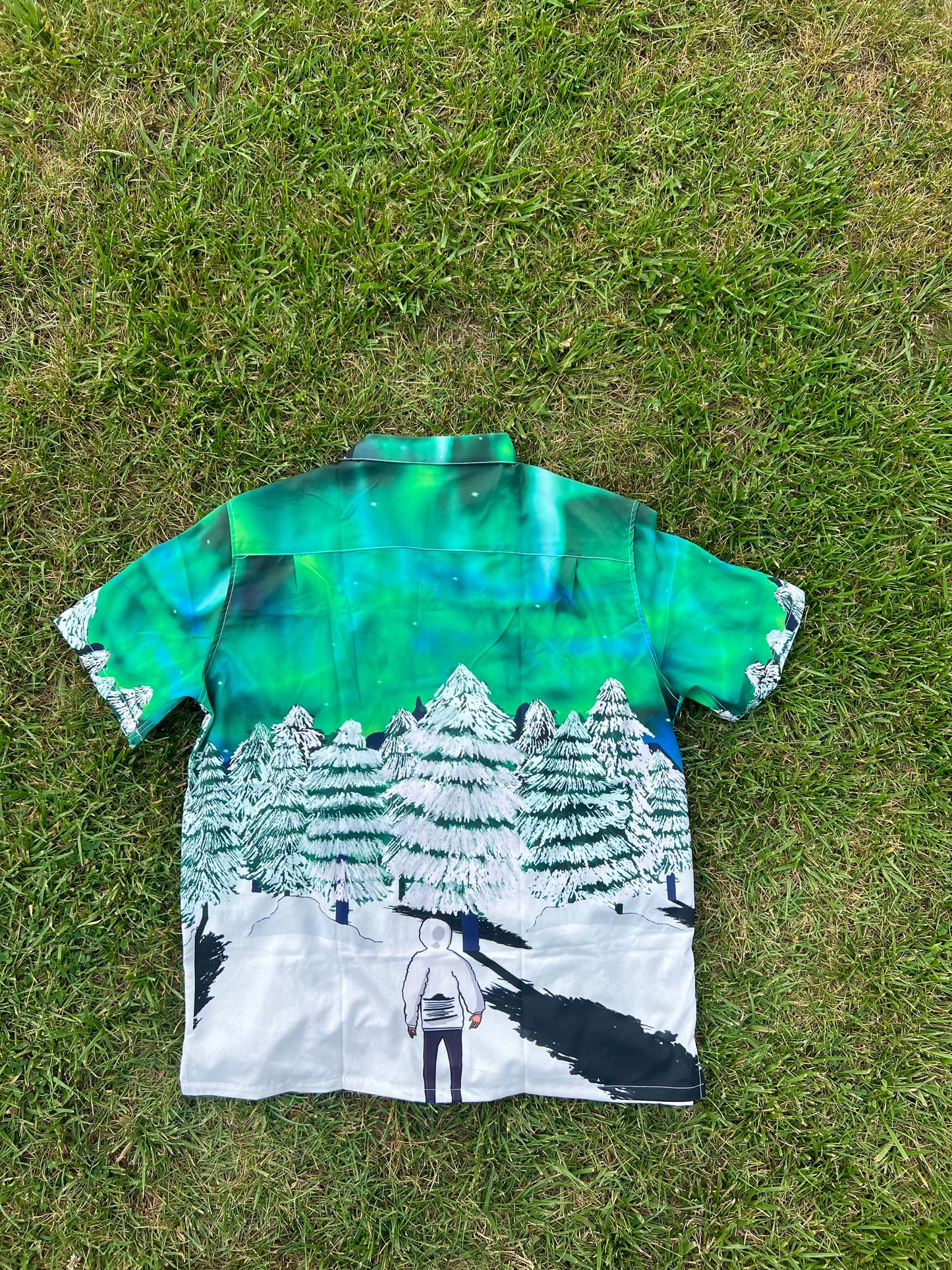 Aurora Borealis Button Up