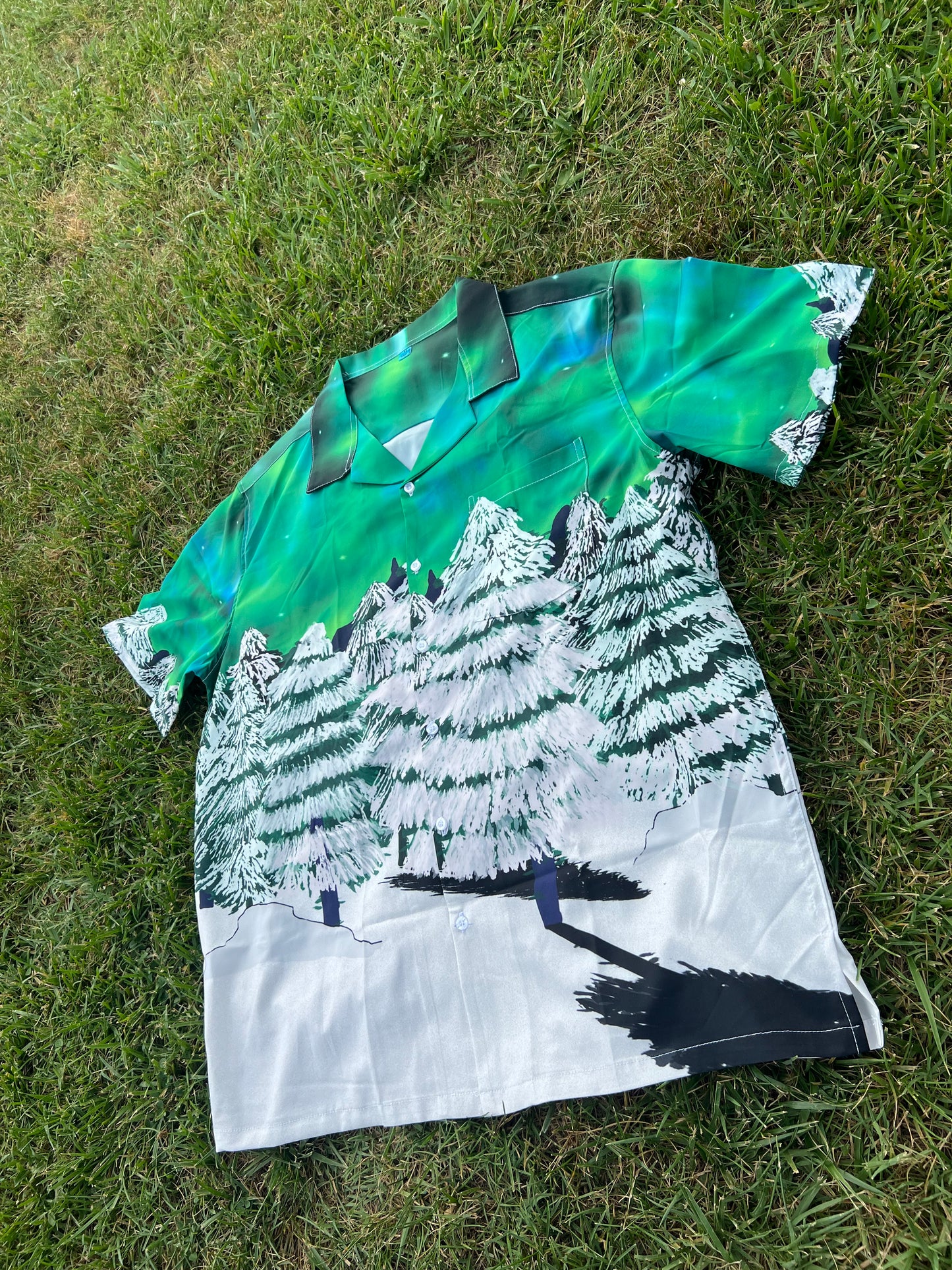 Aurora Borealis Button Up